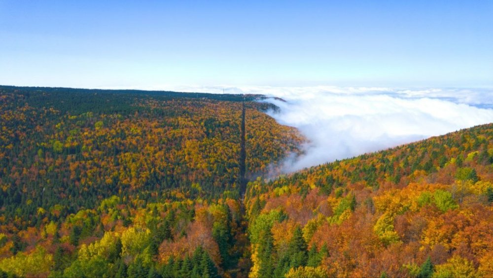 Uludağ’da sonbahar güzelliği havadan görüntülendi