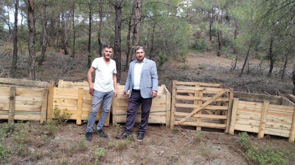 Osmaneli Belediyesi sokak hayvanlarına sahip çıkıyor