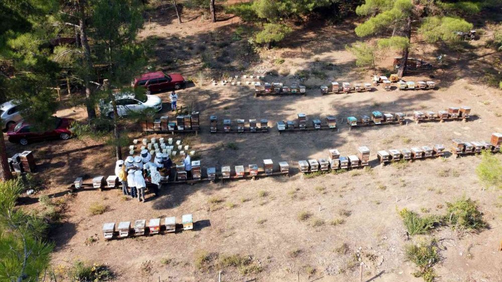 Türkiye dünyada 3.sırada