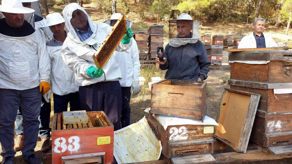 Türkiye dünyada 3.sırada