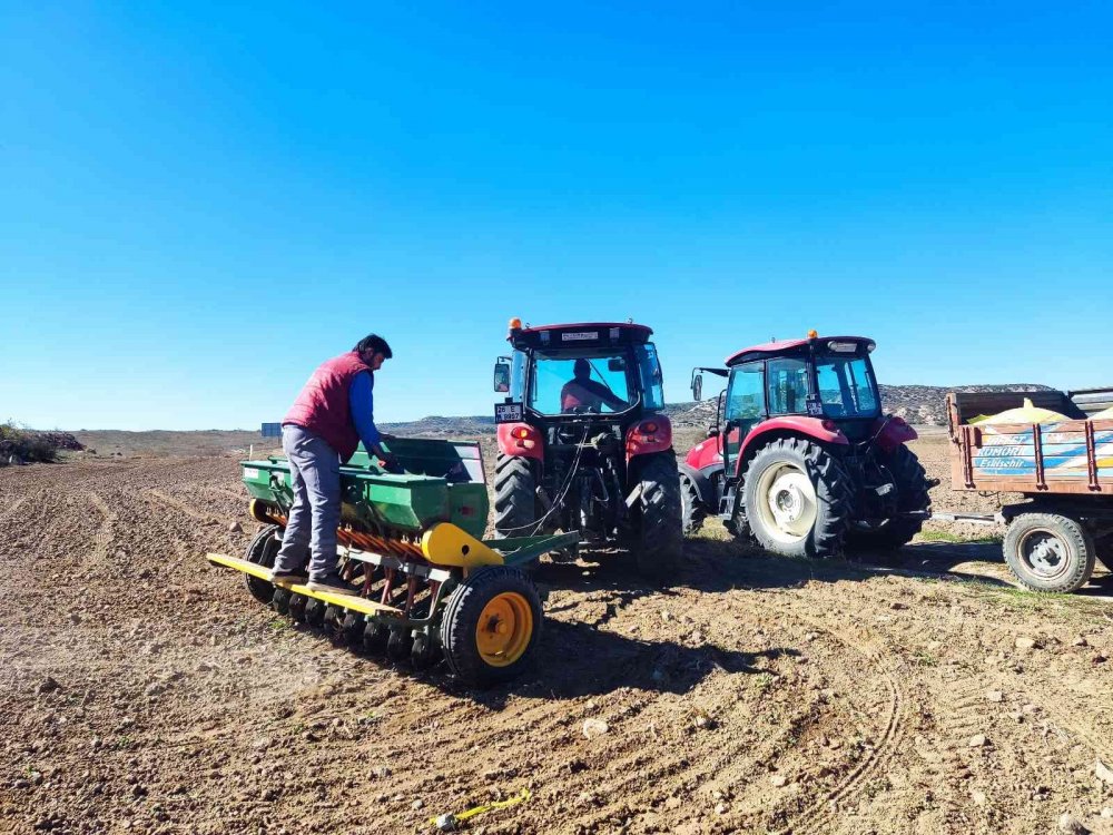 Buğday tohumlarının 8 aylık serüveni başladı