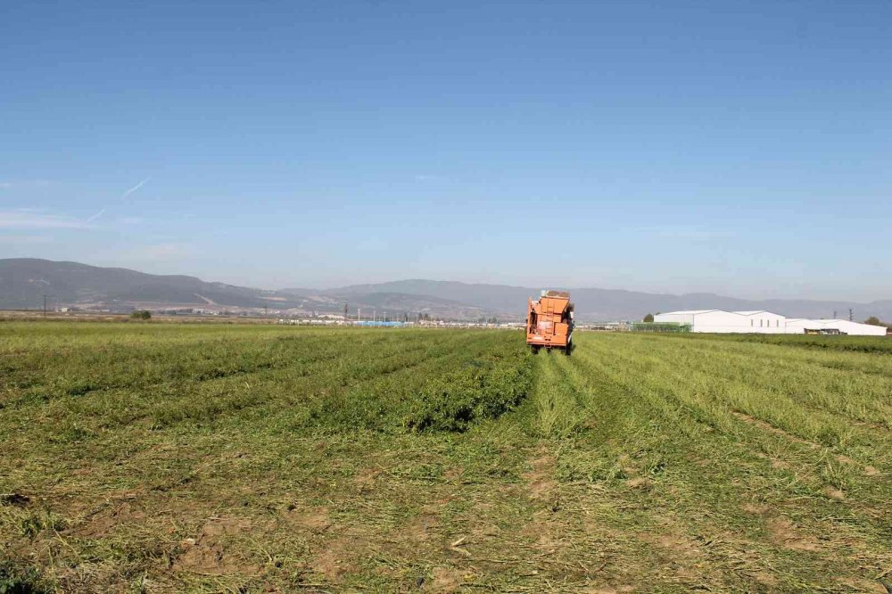 Türkiye’de ilk kez Bursa’da denendi