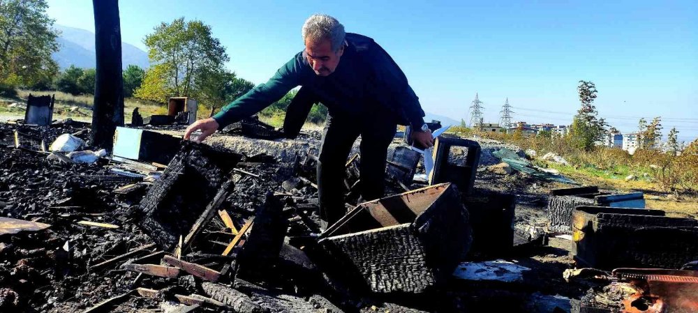 Vicdansızlar 400 kovan arıyı diri diri yaktı