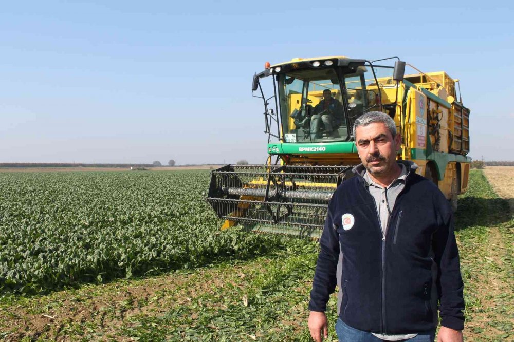 Türkiye’nin ıspanak ihtiyacının dörtte birini Bursa karşılıyor