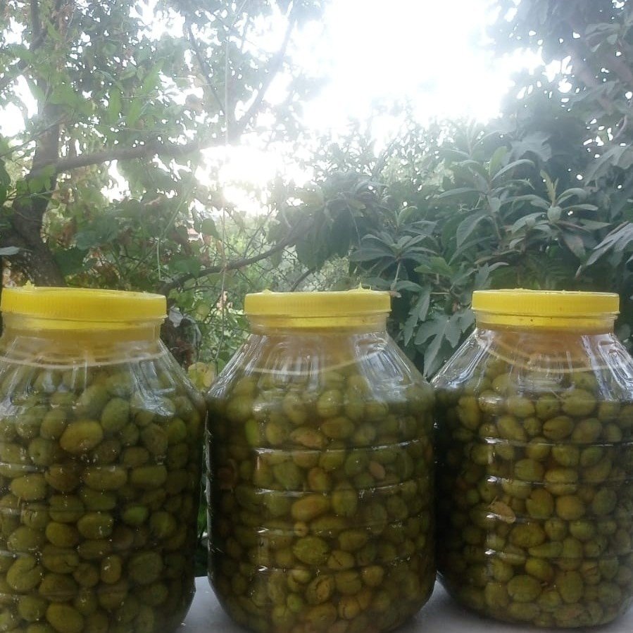 Laçin’de salamura işlemi başladı