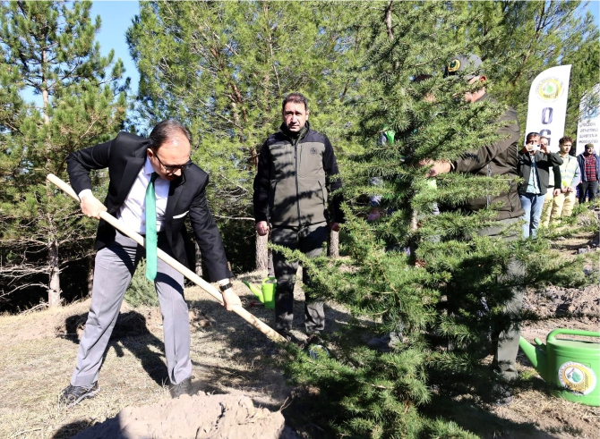 40-bin-fidan-toprakla-bulusacak2.jpg
