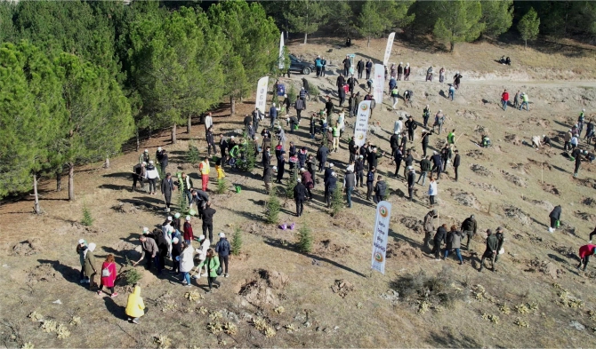 40-bin-fidan-toprakla-bulusacak4.jpg