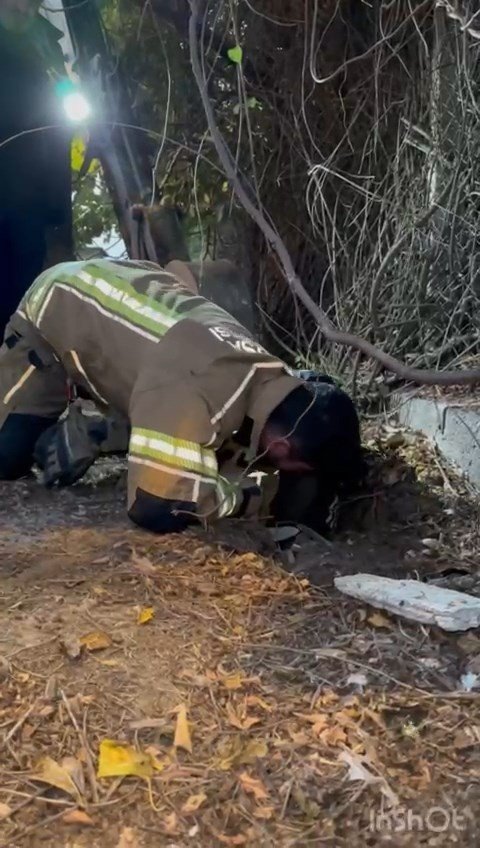 Su kanalına düşen kuzu için yolu kazdılar