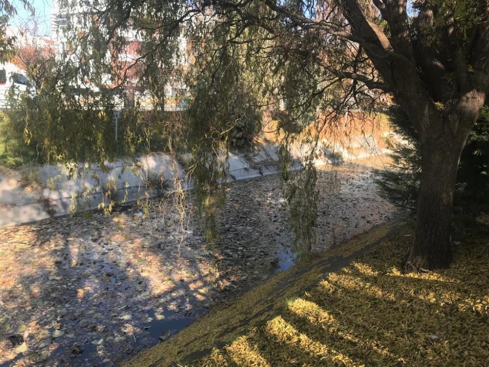 Dökülen yapraklar su yüzeyini kapladı