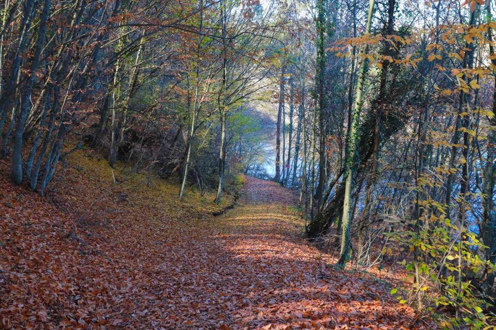 Küçükelmalı Tabiat Parkı’nda kartpostallık görüntüler oluştu