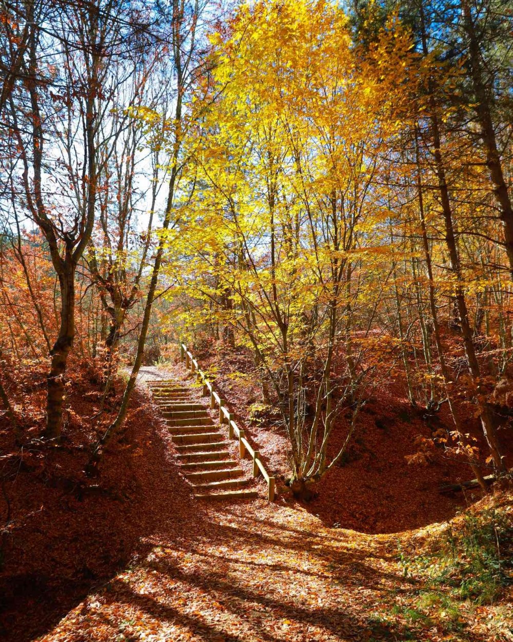 Küçükelmalı Tabiat Parkı’nda kartpostallık görüntüler oluştu