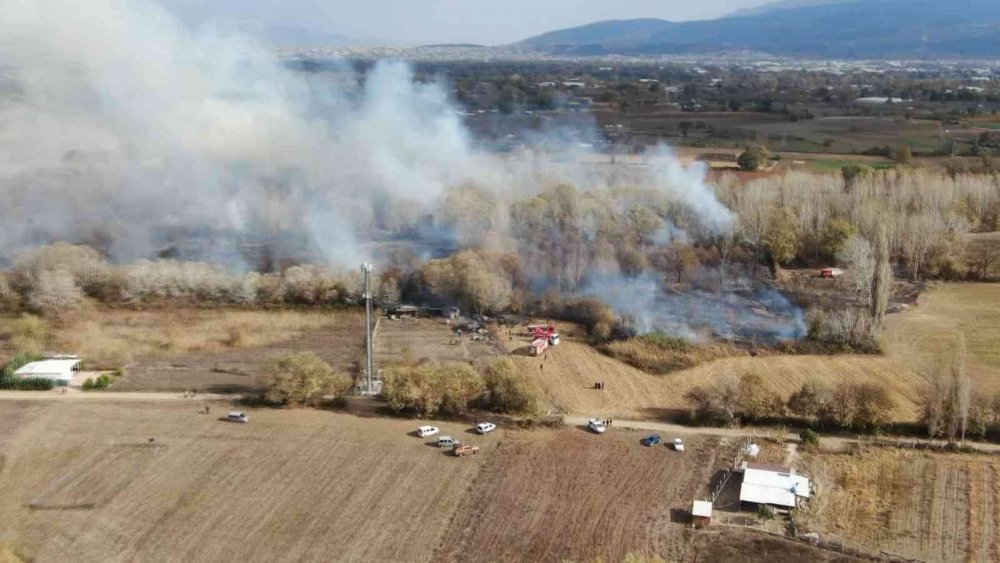 Ormanlık alanda korkutan yangın