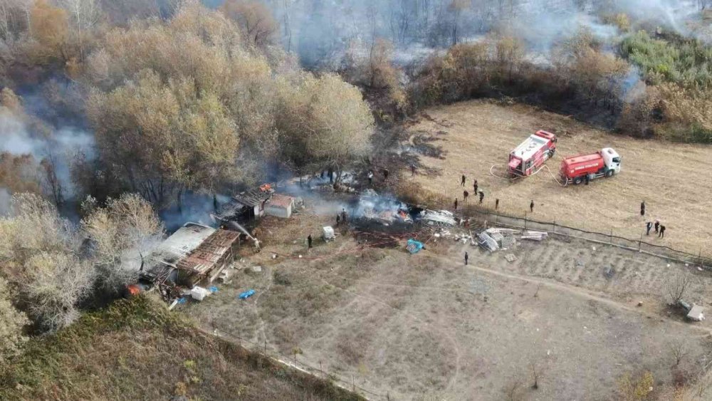 Ormanlık alanda korkutan yangın