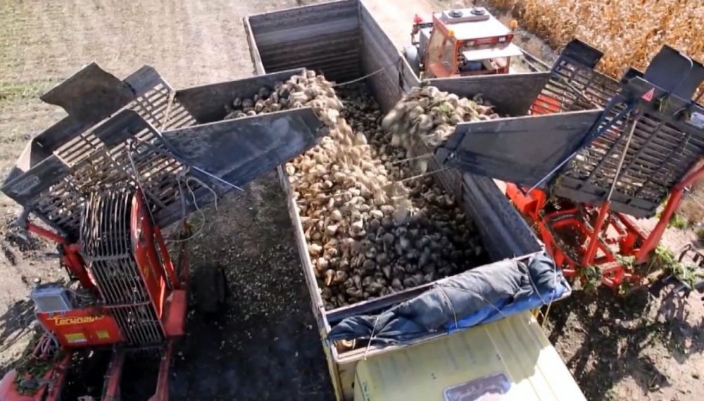 "Türkiye’de ne şeker ne de pirinç krizi var"