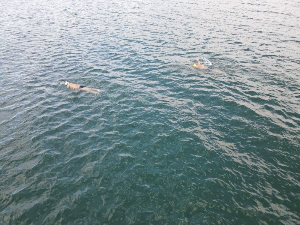 Kasım ayının ortasında gölde yüzdüler