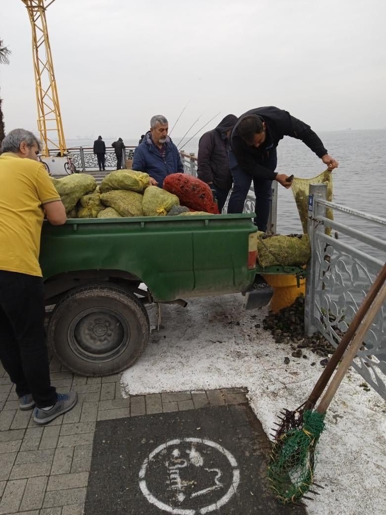 Kaçak midye avcılarına operasyon