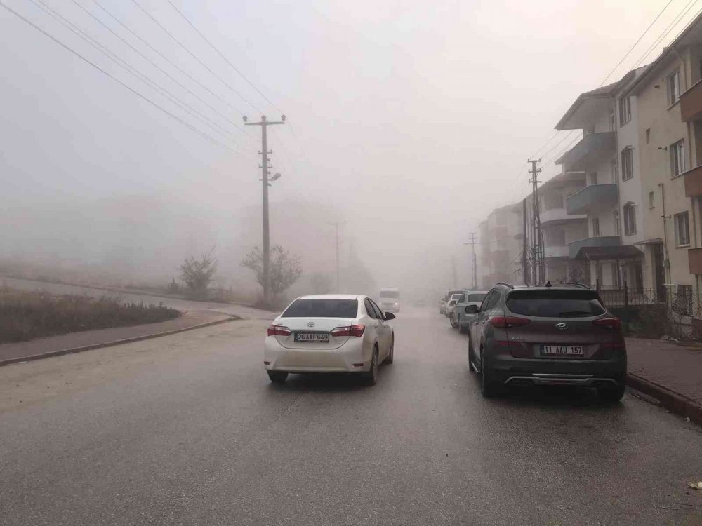 Bilecik’te sis etkili oldu