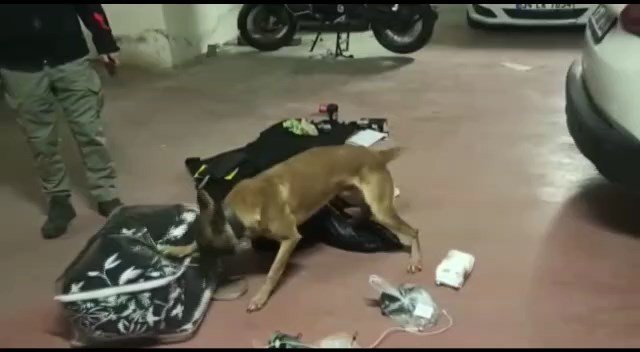 Narkotik dedekiflerini şaşırtan zula