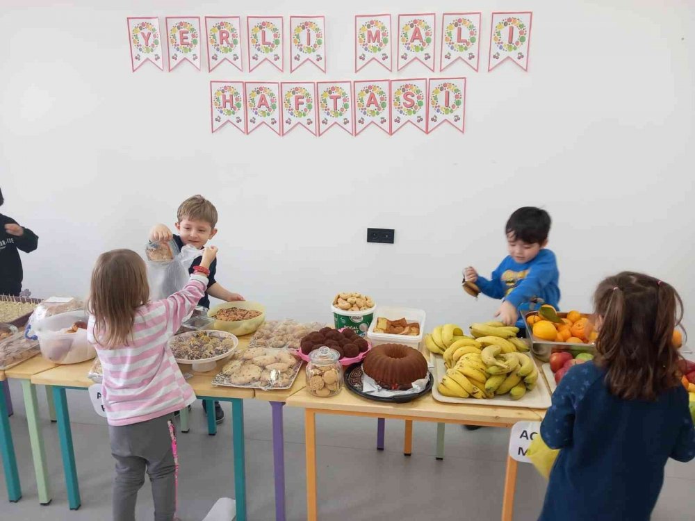 Miniklerden topladıkları paraları sokak hayvanları için kullanıcak