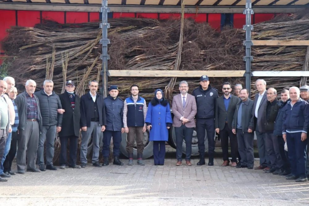Gölpazarı’nda 13 bin 800 fidan toprakla buluşuyor