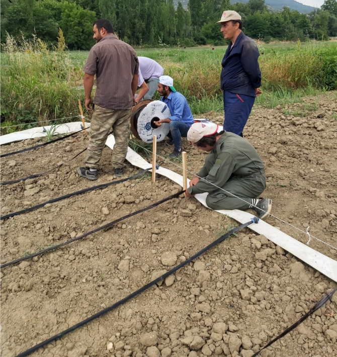 bseuden-celtik-ureticisine-destek-olacak-proje1.jpg