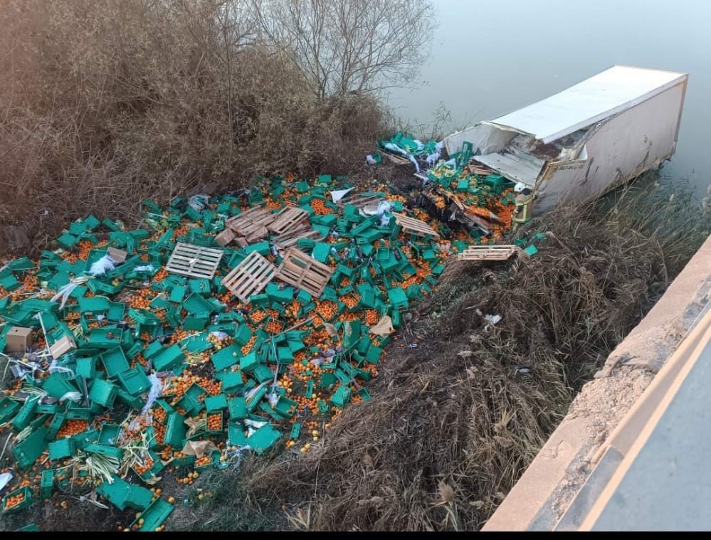 Meyve yüklü kamyon dereye uçtu