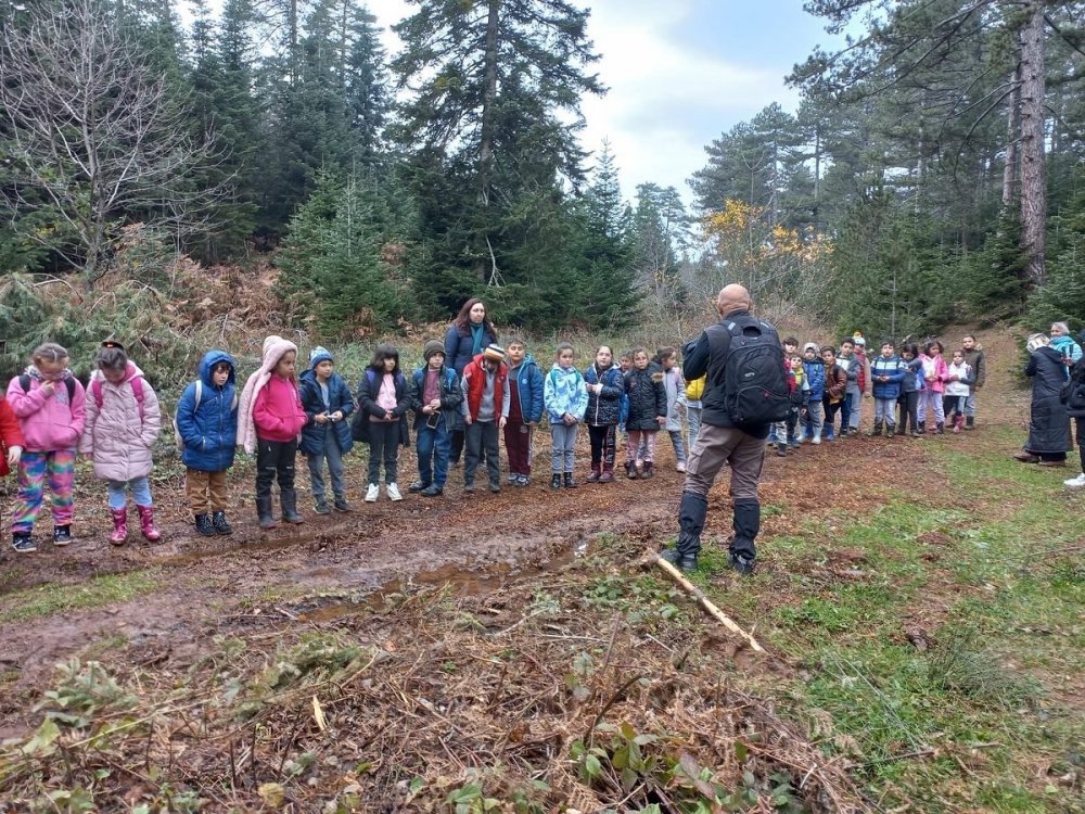 Orman içerisinde ders işliyorlar