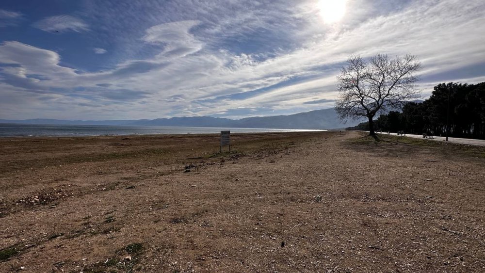 Kuraklığın en acı görüntüsü...