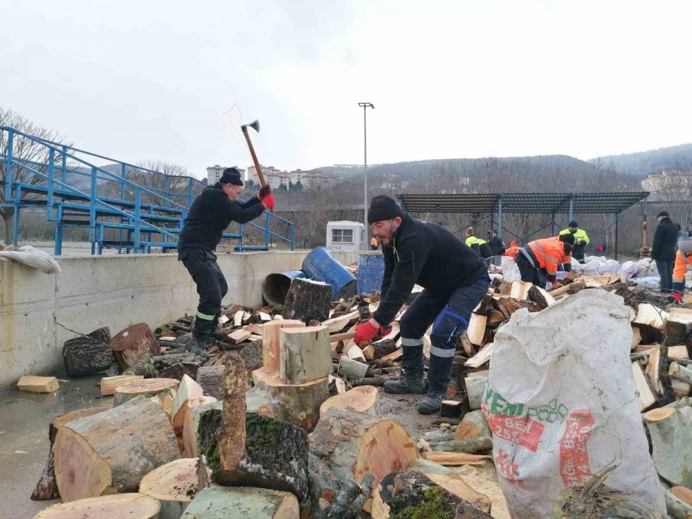 Park ve Bahçeler Müdürlüğü ekiplerinin depremzedeler için odun seferberliği