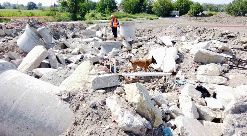 Teknolojinin tükendiği yerde devreye giren altın burunlar