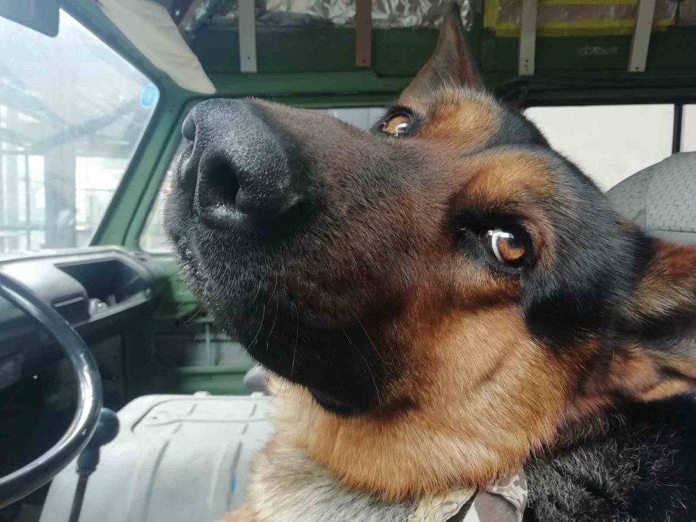 Her sabah şoför koltuğunda bekliyor