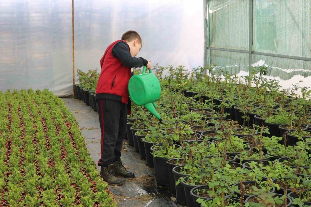 Vatandaşların fide ve bitkilere ilgisi arttı