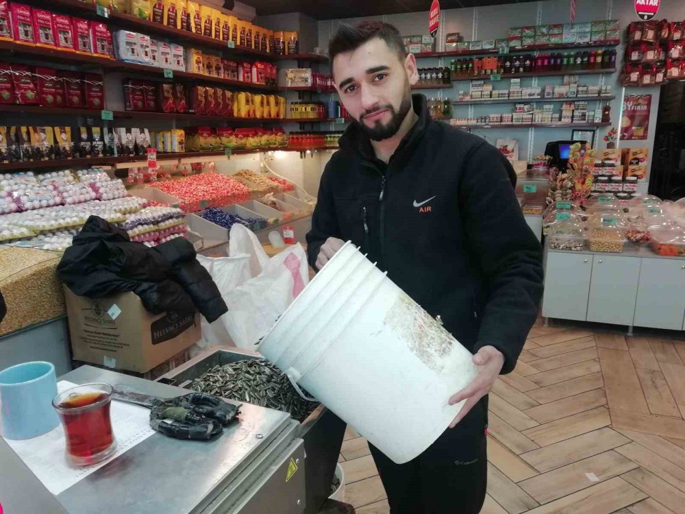 Taze çekirdeğin kokusunu duyan geliyor