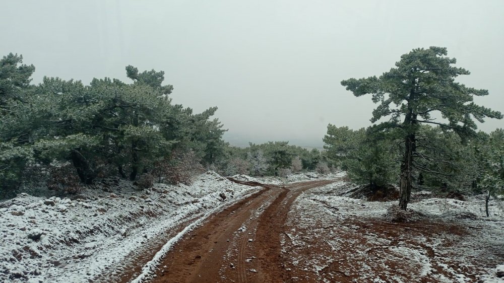 Kartpostallık görüntüler oluştu