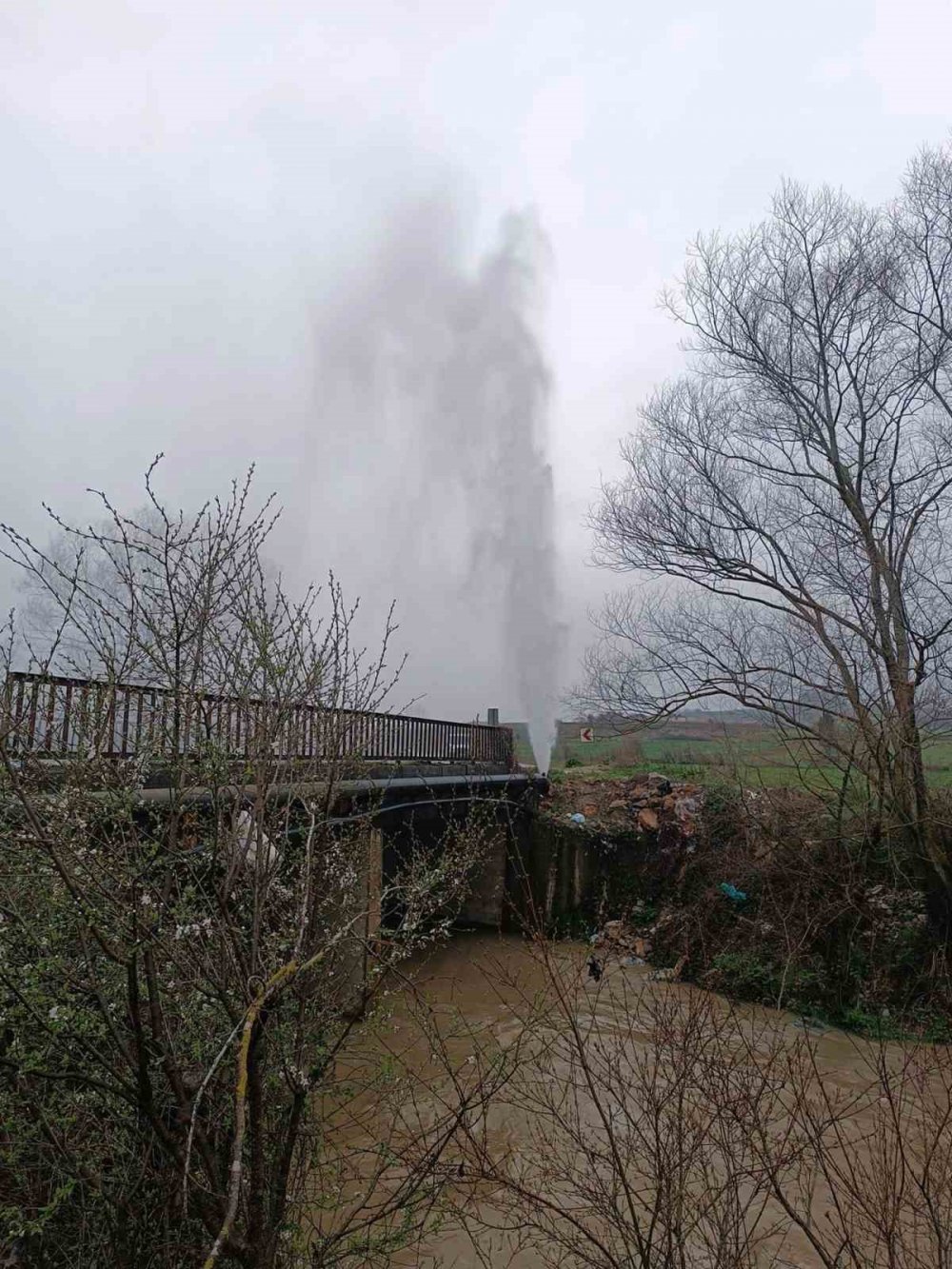 Kanala uçan araç suya gömüldü
