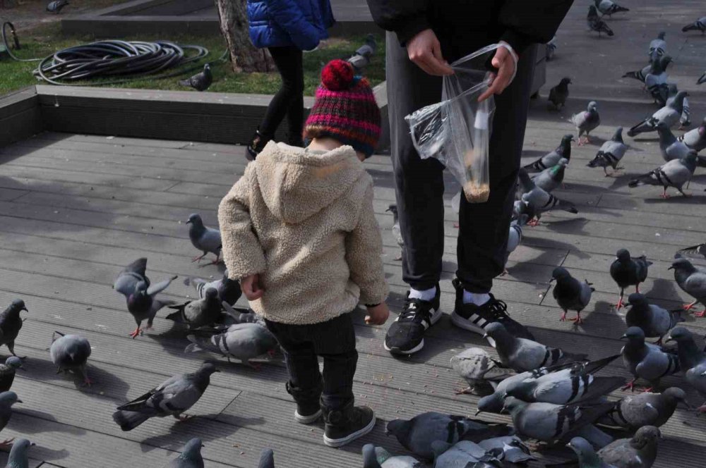 Hayvan sevgisi bu yaşta böyle başlıyor