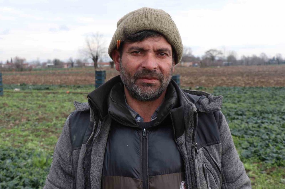 Tarlada 5, markette 10 lira