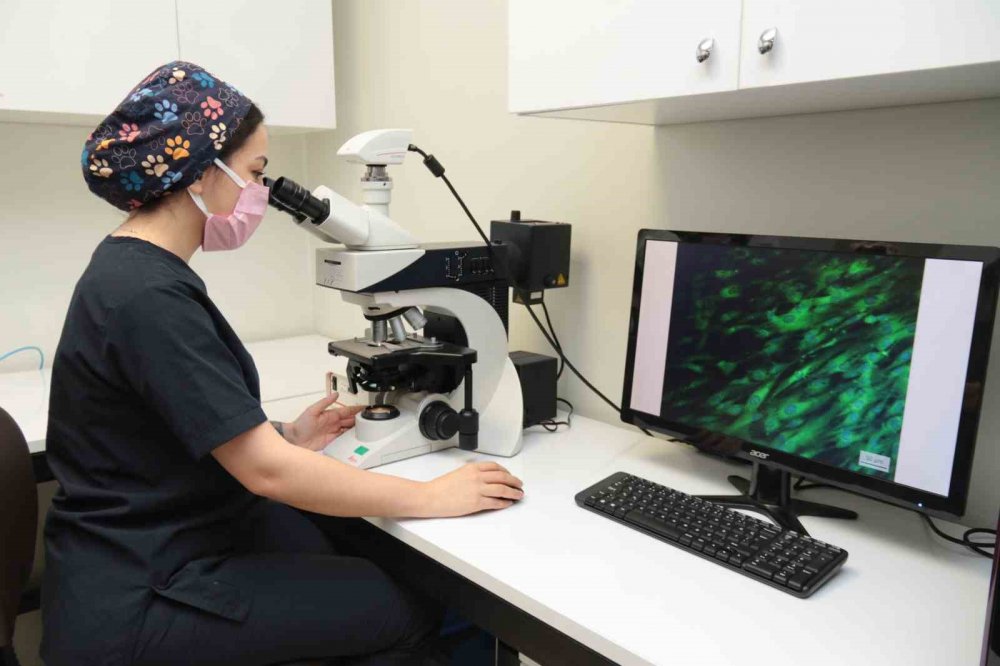 Bu merkez Türkiye’de tek