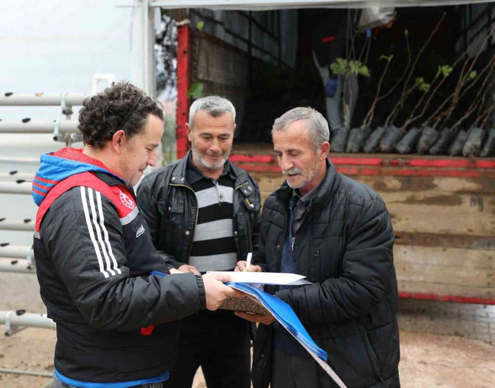 “Sarıcakaya’da İncir Yetişiyor”