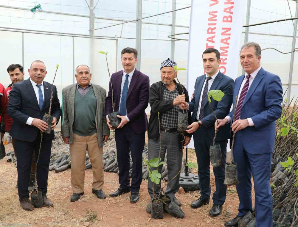 “Sarıcakaya’da İncir Yetişiyor”