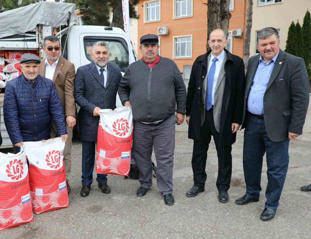 Ayçiçeği üretimi zirveye taşınacak