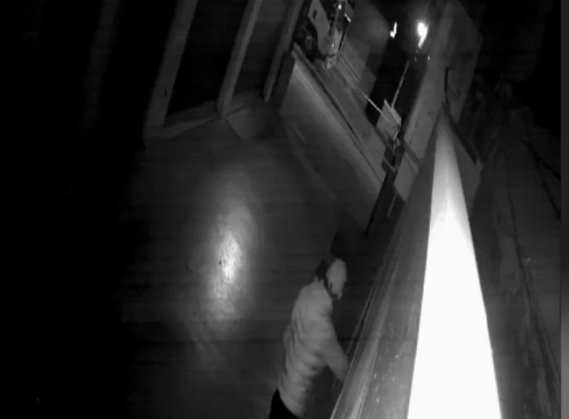 Kedi gibi duvara tırmandı