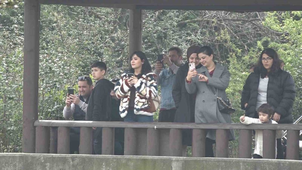 Sevimli yavruları ilgi odağı