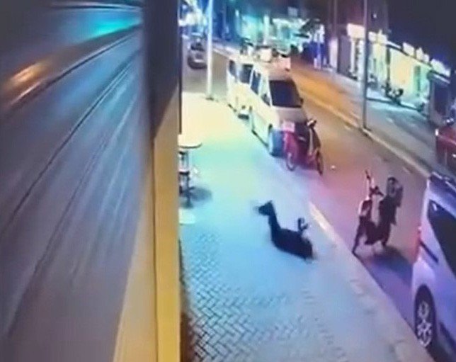 Tutuklanan şüphelinin ifadesine ulaşıldı