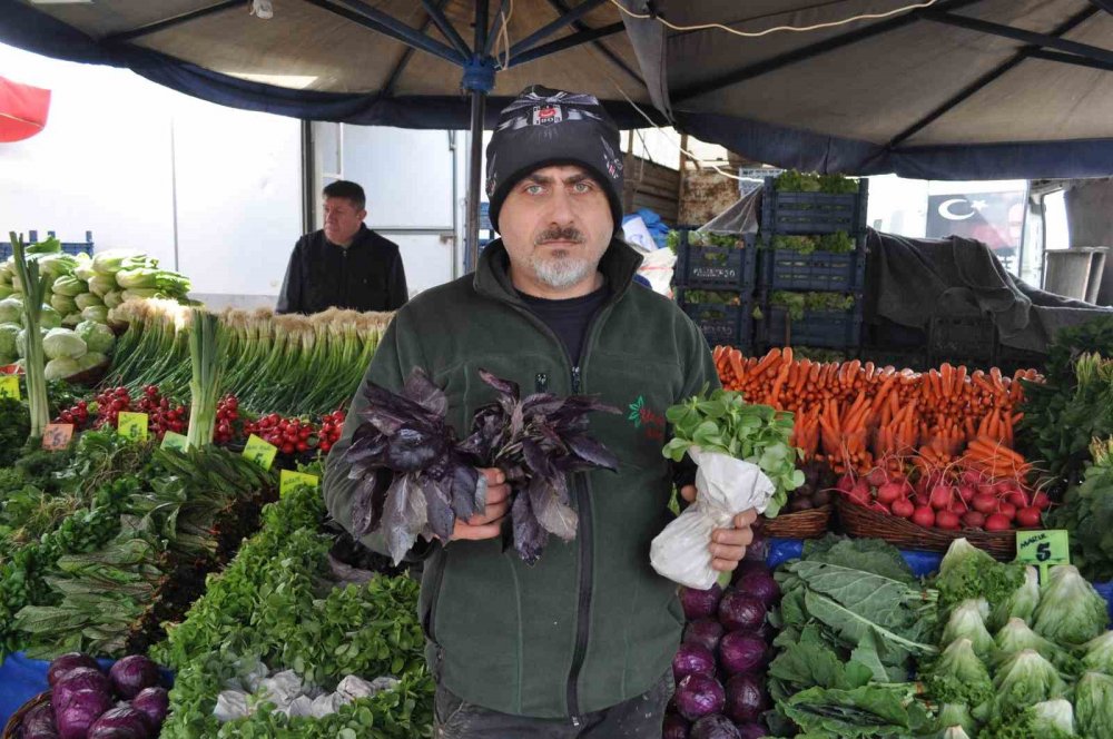 Ramazan ayında yeşilliğe rağbet yüksek