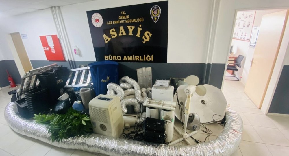 Evini uyuşturucu serasına çevirdi
