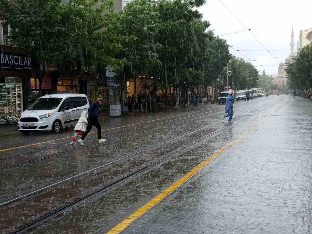 Yağmurdan korunmak için ağacın altına girdiler