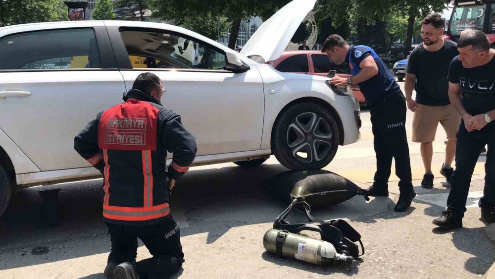 Yavru kedi için seferber oldular