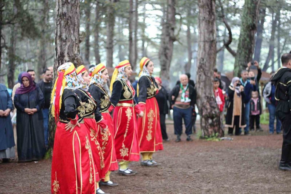 Artvinliler Küçükelmalı Tabiat Parkında buluştu