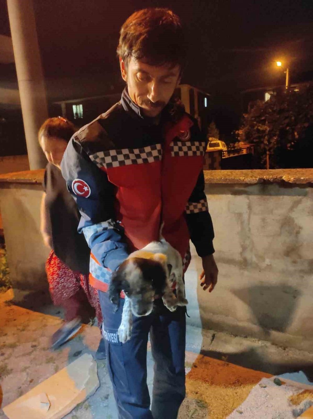 Tampona sıkışan yavru köpek kurtarıldı